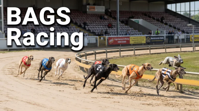 Greyhounds racing at a BAGS afternoon meeting on a UK licensed track