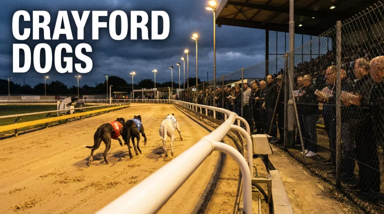 Crayford greyhound stadium during a busy evening race meeting in North Kent