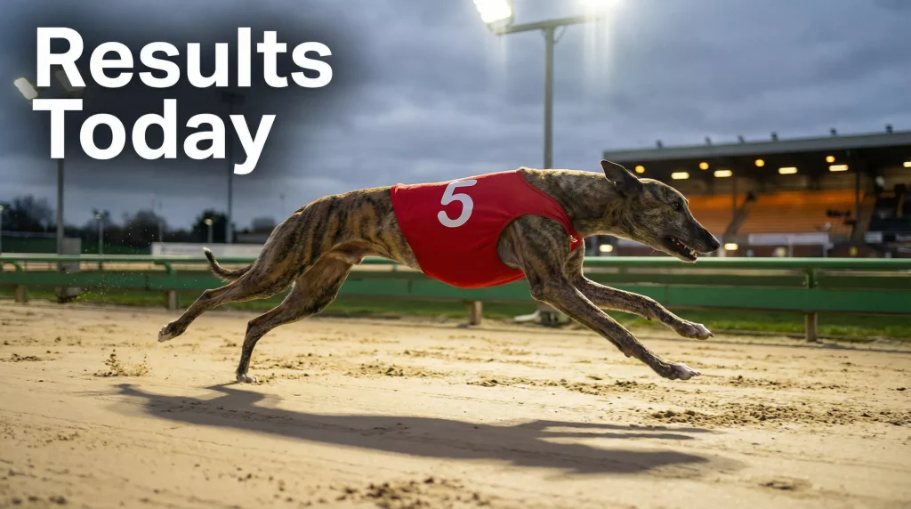 Greyhound results today — live race outcomes across all UK tracks