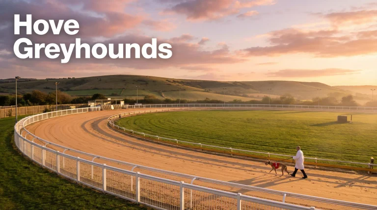 Brighton and Hove greyhound stadium with the South Downs visible in the background