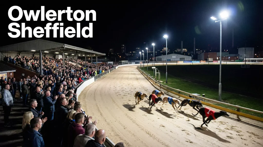Owlerton Stadium in Sheffield during an evening greyhound race meeting