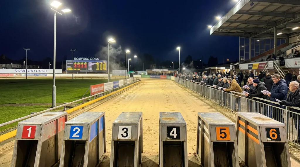 Romford greyhound stadium under floodlights during an evening race meeting