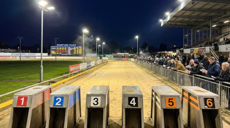 Romford greyhound stadium under floodlights during an evening race meeting